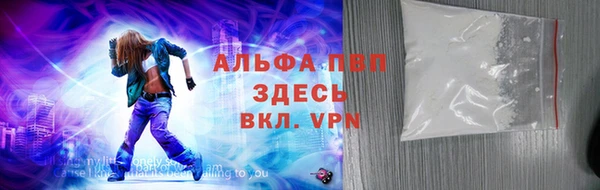 меф Гатчина