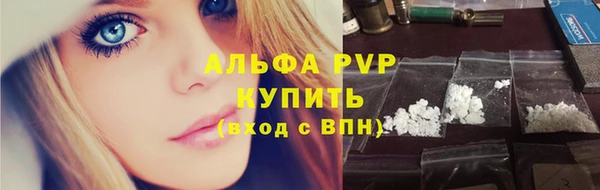 винт Губаха